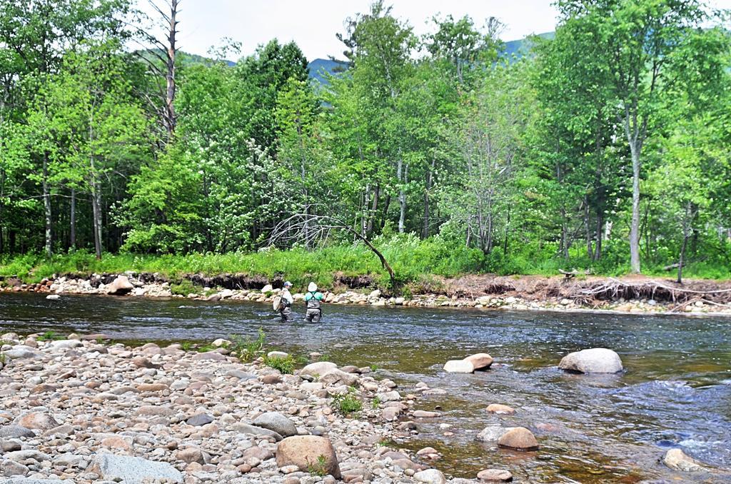 Hungry Trout Resort Wilmington Buitenkant foto